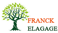 elagage-artisan-franck